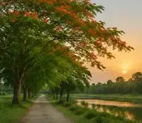 ঋতু