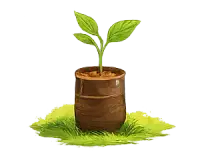 বৃক্ষ রোপণ নির্দেশিকা